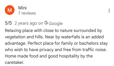 Google Review